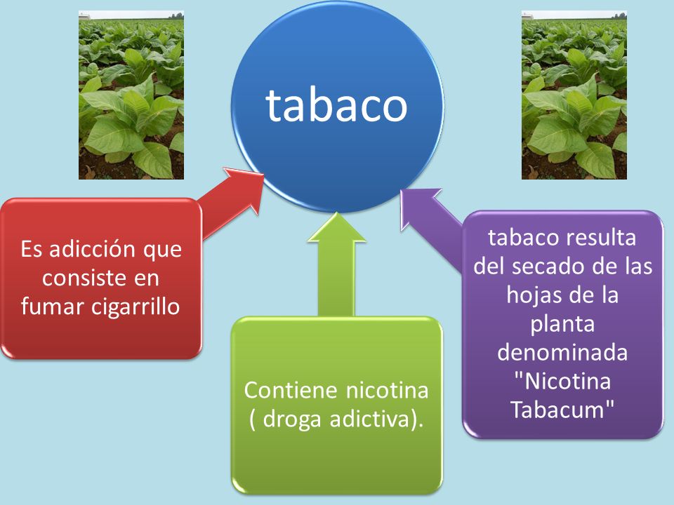 Es necesario cuanto al tiempo para a dejar fumar por completo